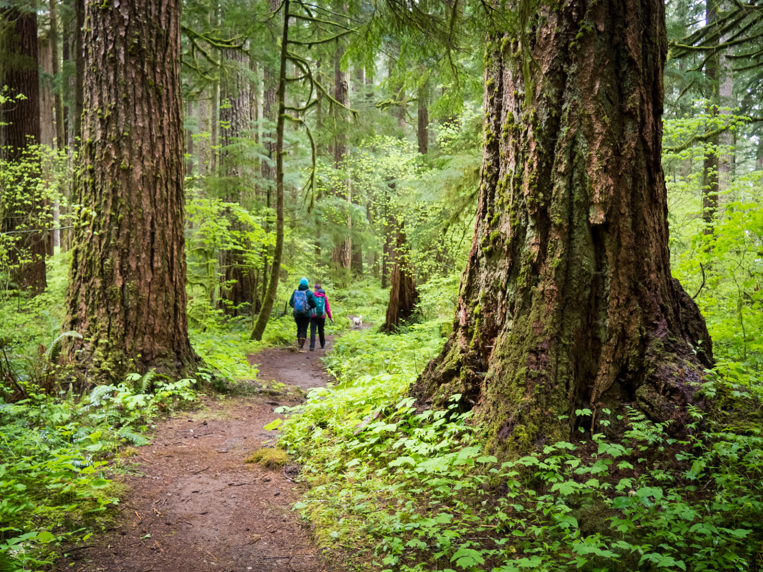 Cascadia's Vision Is Smaller Hub Cities Between Seattle, Portland