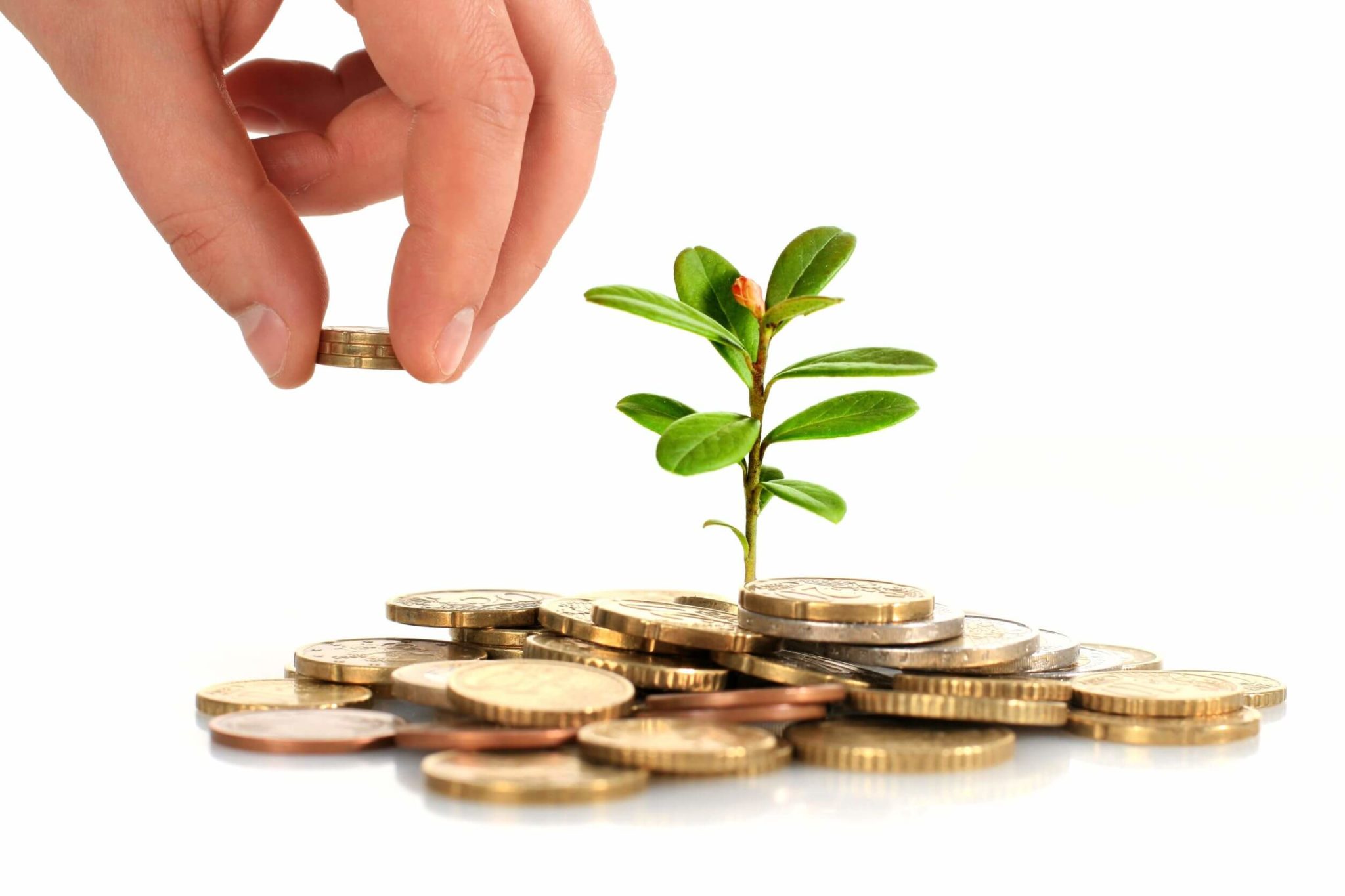 six-things-that-entrepreneurs-need-to-know-about-raising-seed-capital